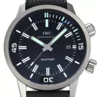 IWCIW323101コピー