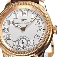 IWCIW325403コピー
