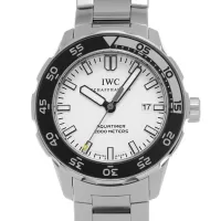 IWCIW356809コピー