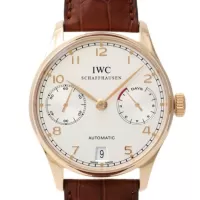 IWCIW500101コピー