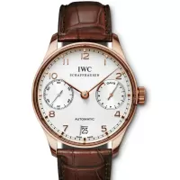 IWCIW500113コピー