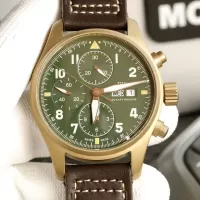 IWCiwb51617コピー[2]