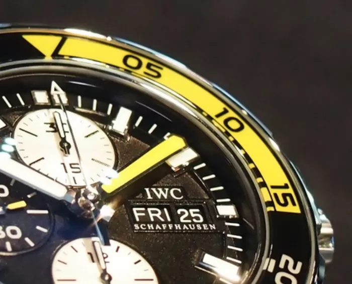IWCIW376702[1]