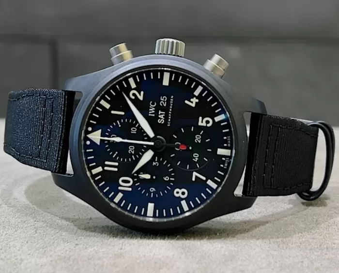IWCIW389101[1]