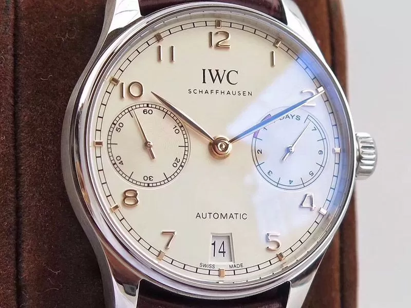 IWCiwi02609[8]