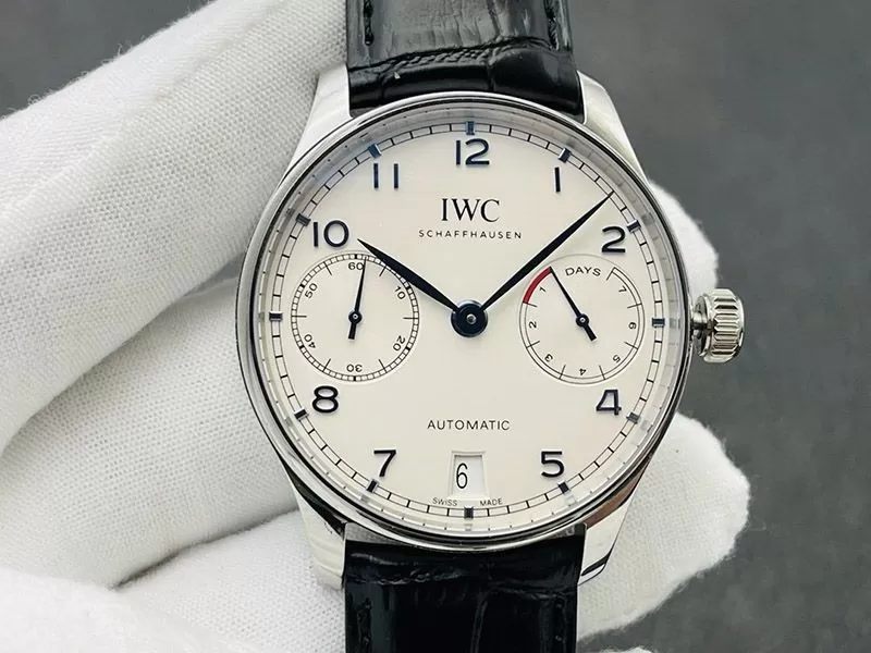 IWCiwi02609[5]