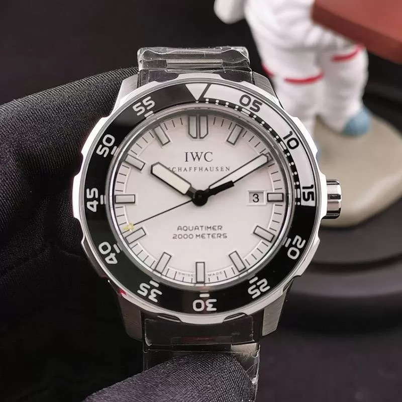 IWCiwm73031[1]